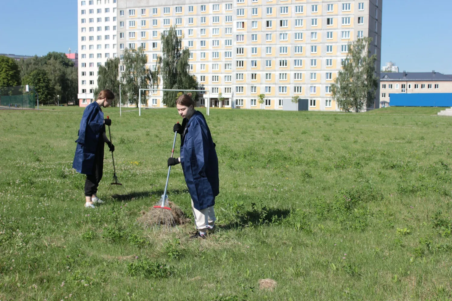 Новость