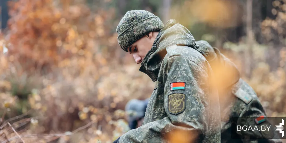 Акция «Дай лесу новае жыццё!»