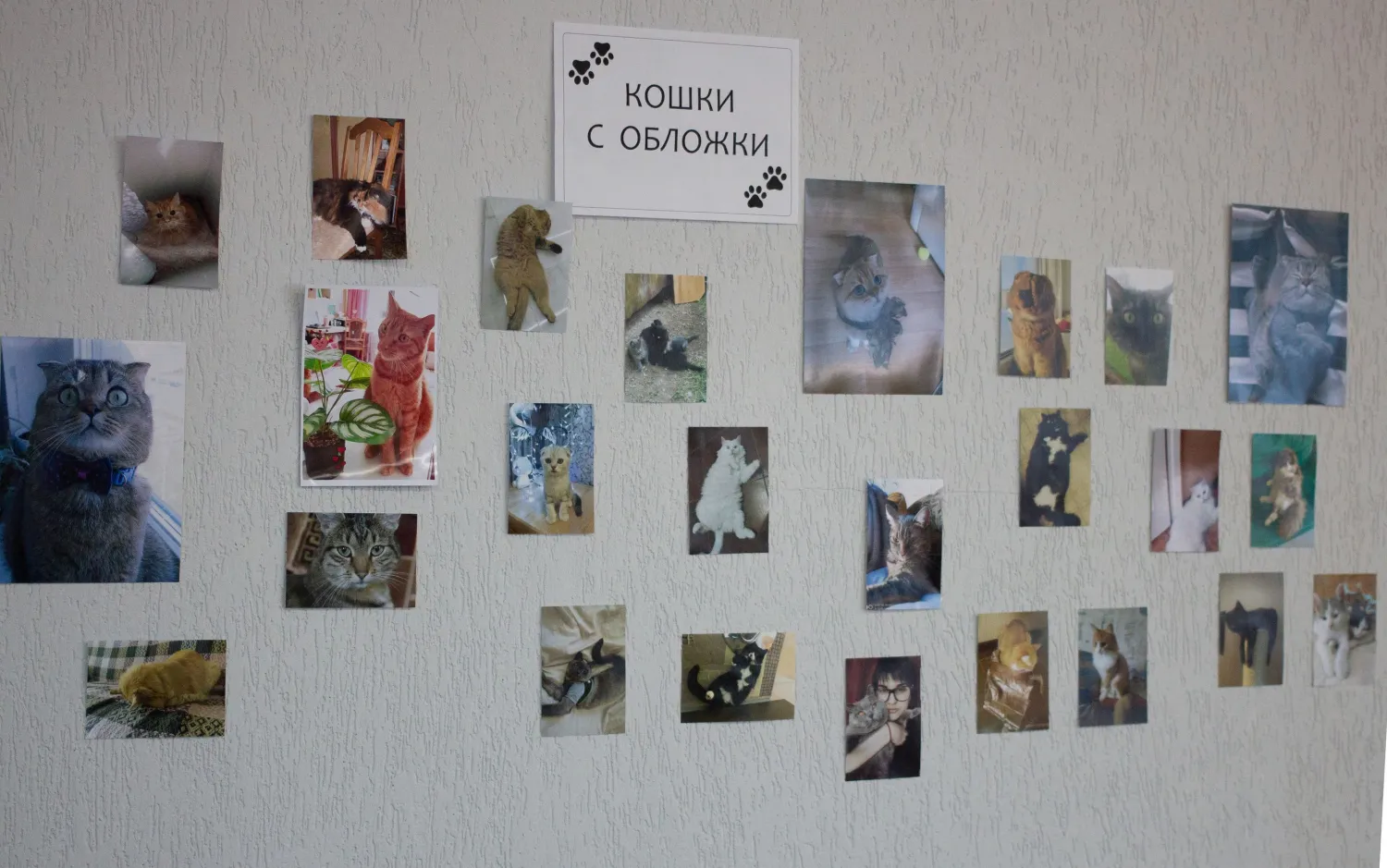 Новость